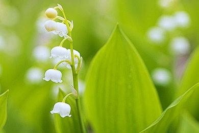 Steam特别好评的管理游戏《街机乐园》即将推出VR版本